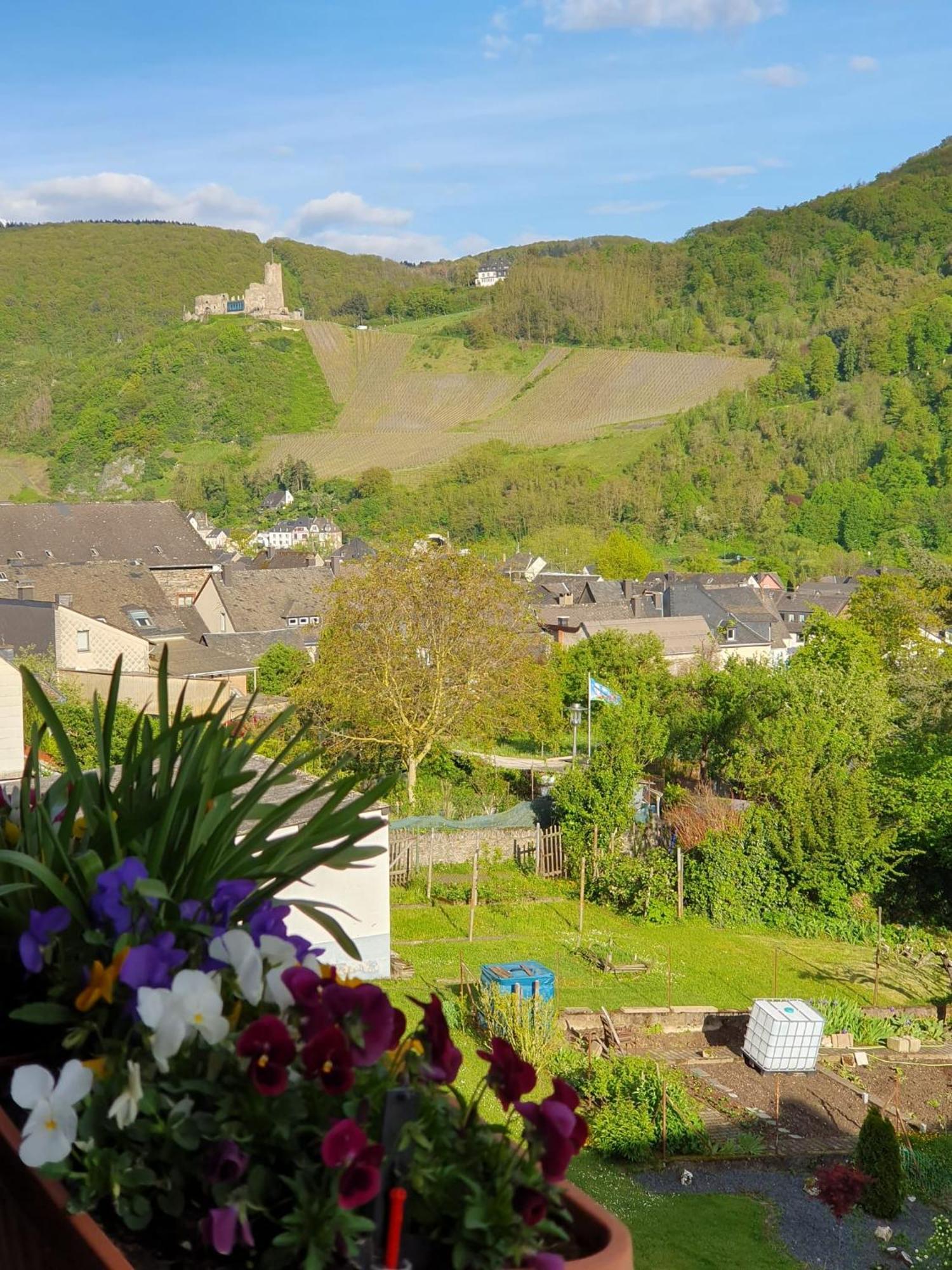 Ferienwohnung Bauer Bernkastel-Kues Exterior foto